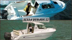 Sessa Dorado 22 For Sale