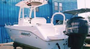 Everglades 243 for sale