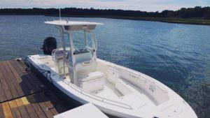 Everglades 243 for sale