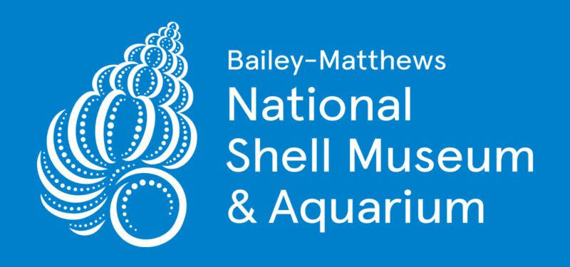 Does Bailey Matthews Shell Museum Give Shell Lectures? Membership, Coupons, Beach Tour, The Bailey Matthews Shell Museum Reviews